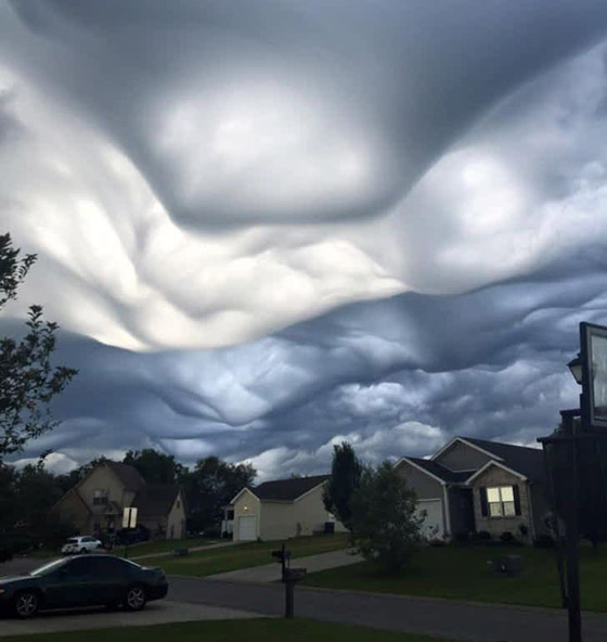 أغرب الصور التي تكشف عن غموض الطبيعة صورة رقم 5