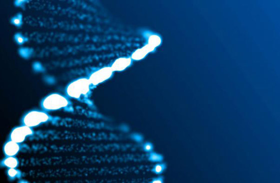 جائزة نوبل للكيمياء.. كيف تؤثر إنجازات العلماء الفائزين على حياتنا؟ صورة رقم 1