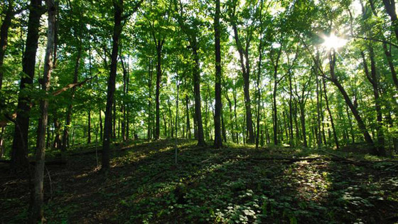 جائزة نوبل للكيمياء.. كيف تؤثر إنجازات العلماء الفائزين على حياتنا؟ صورة رقم 2
