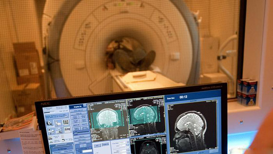 جائزة نوبل للكيمياء.. كيف تؤثر إنجازات العلماء الفائزين على حياتنا؟ صورة رقم 3