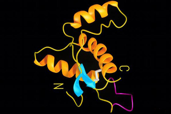 جائزة نوبل للكيمياء.. كيف تؤثر إنجازات العلماء الفائزين على حياتنا؟ صورة رقم 13