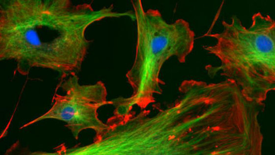 جائزة نوبل للكيمياء.. كيف تؤثر إنجازات العلماء الفائزين على حياتنا؟ صورة رقم 14