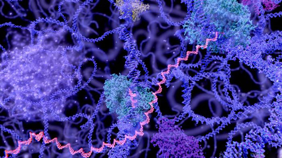 جائزة نوبل للكيمياء.. كيف تؤثر إنجازات العلماء الفائزين على حياتنا؟ صورة رقم 15
