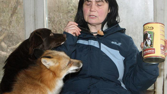 بالصور: إليكم أغرب الصداقات المميزة بين الحيوانات صورة رقم 5