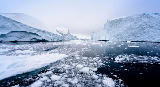 تحذير عالمي: مستقبل البشرية بخطر فتأثيرات التغيّر المناخي تتخطى كورونا صورة رقم 11