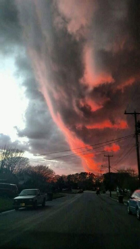 صور مربكة.. عندما يمتزج الواقع بالخيال صورة رقم 1