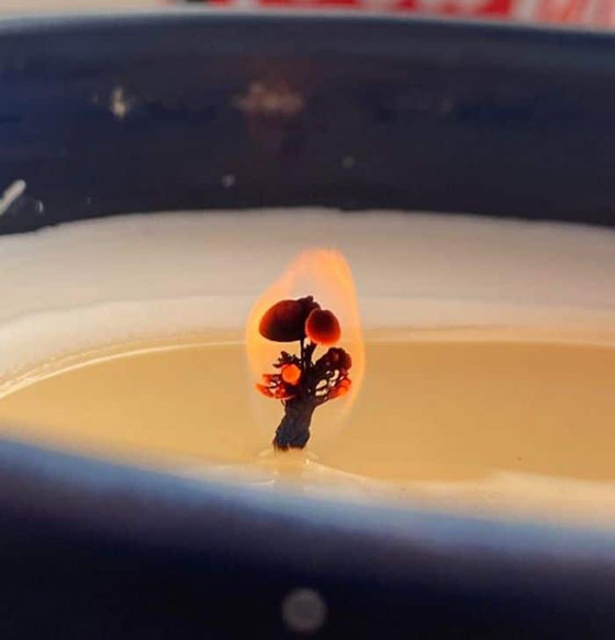 صور مربكة.. عندما يمتزج الواقع بالخيال صورة رقم 9