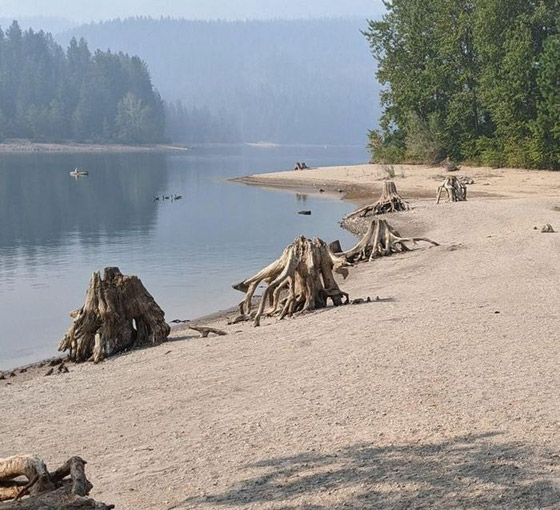 صور مربكة.. عندما يمتزج الواقع بالخيال صورة رقم 11