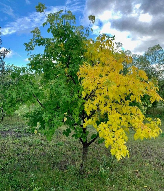 صور مربكة.. عندما يمتزج الواقع بالخيال صورة رقم 3