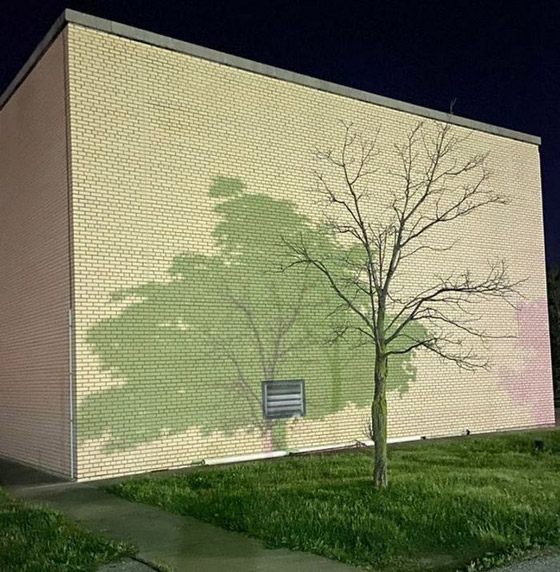 صور مربكة.. عندما يمتزج الواقع بالخيال صورة رقم 8