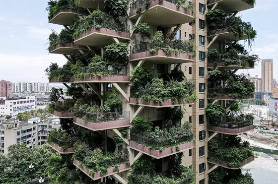 الغابات المعلقة.. ناطحات سحاب أسيرة النباتات والحشرات بشكل مذهل صورة رقم 7