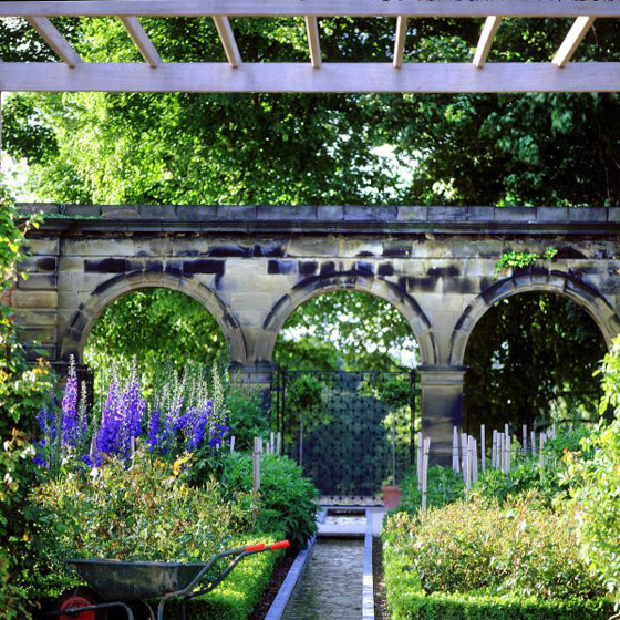 صور: هل تملك الجرأة للدخول إلى هذه الحديقة السامة الأخطر في العالم؟ صورة رقم 7