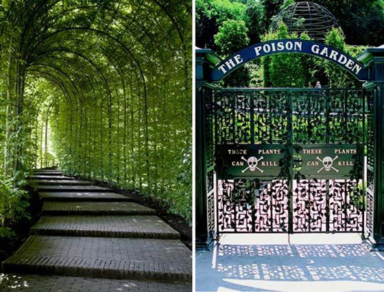 صور: هل تملك الجرأة للدخول إلى هذه الحديقة السامة الأخطر في العالم؟ صورة رقم 6