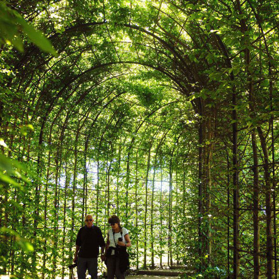 صور: هل تملك الجرأة للدخول إلى هذه الحديقة السامة الأخطر في العالم؟ صورة رقم 18
