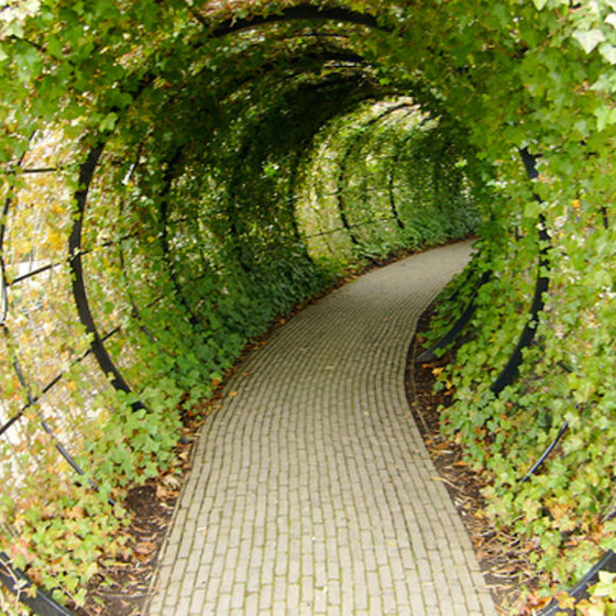 صور: هل تملك الجرأة للدخول إلى هذه الحديقة السامة الأخطر في العالم؟ صورة رقم 19