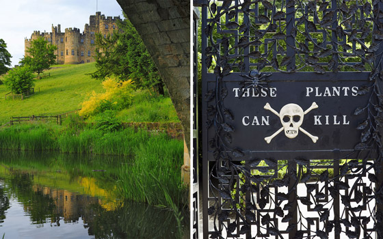 صور: هل تملك الجرأة للدخول إلى هذه الحديقة السامة الأخطر في العالم؟ صورة رقم 21