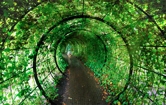 صور: هل تملك الجرأة للدخول إلى هذه الحديقة السامة الأخطر في العالم؟ صورة رقم 22