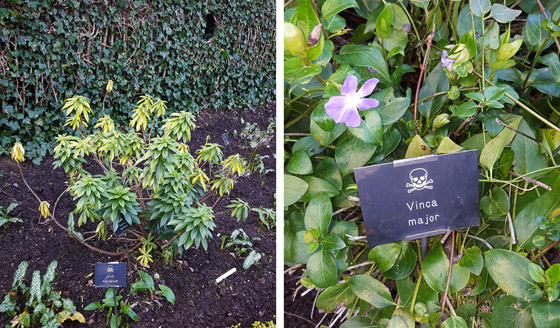 صور: هل تملك الجرأة للدخول إلى هذه الحديقة السامة الأخطر في العالم؟ صورة رقم 26