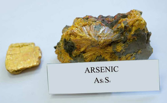 السم المثالي؟ 6 سموم غير قابلة للكشف أربكت الأطباء على مر التاريخ صورة رقم 1