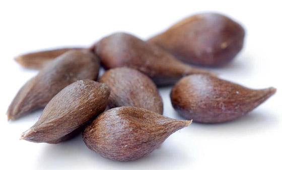 السم المثالي؟ 6 سموم غير قابلة للكشف أربكت الأطباء على مر التاريخ صورة رقم 4