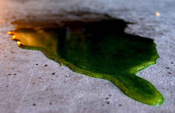 السم المثالي؟ 6 سموم غير قابلة للكشف أربكت الأطباء على مر التاريخ صورة رقم 14