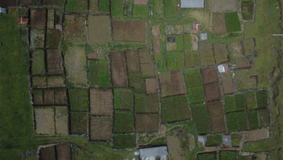 كيف تبدو الحياة في أبعد جزيرة مأهولة في العالم؟ صورة رقم 7