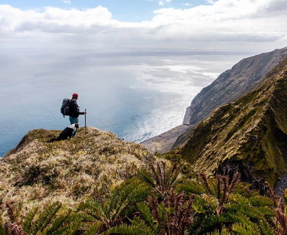 كيف تبدو الحياة في أبعد جزيرة مأهولة في العالم؟ صورة رقم 22