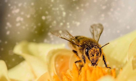 5 أدلة صغيرة وغريبة ساهمت في كشف ملابسات جرائم قتل معقدة! صورة رقم 5