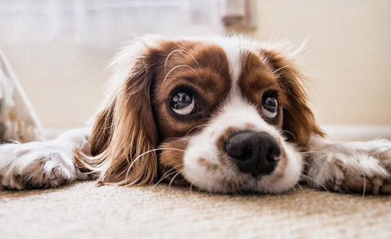 5 أدلة صغيرة وغريبة ساهمت في كشف ملابسات جرائم قتل معقدة! صورة رقم 2