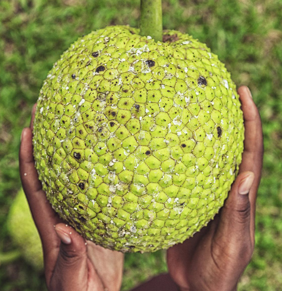 بالصور: تعرفوا إلى 18 من أغرب الفواكه العجيبة في العالم صورة رقم 8