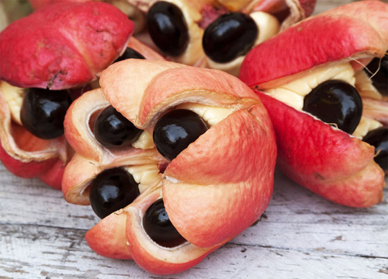 بالصور: تعرفوا إلى 18 من أغرب الفواكه العجيبة في العالم صورة رقم 14