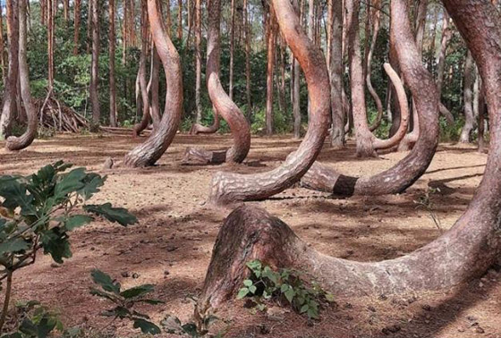  ���� ��� 4 - ����� ����� ������� ��������.. ����� ���� ������� �������� �� ������