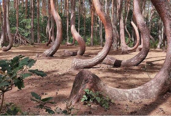 صور أغرب الأماكن السياحية في العالم صورة رقم 4 صور أغرب الأماكن السياحية في العالم صورة رقم 4