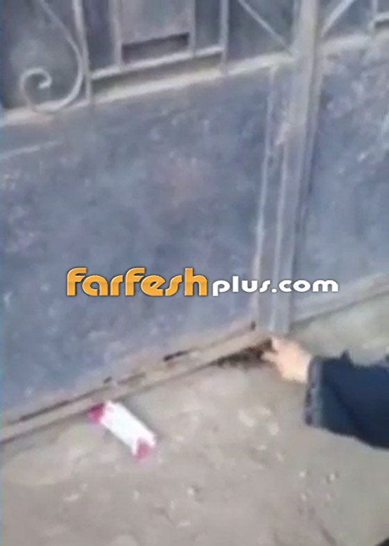 فيديو يمزق القلب.. مصري يحبس والدته العجوز مدة سنة بسبب معاشها! صورة رقم 2 فيديو يمزق القلب.. مصري يحبس والدته العجوز مدة سنة بسبب معاشها! صورة رقم 2
