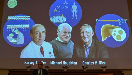 الفائزون بجائزة نوبل في الطب 2020: اكتشفوا فيروس وأنقذوا حياة الملايين صورة رقم 1