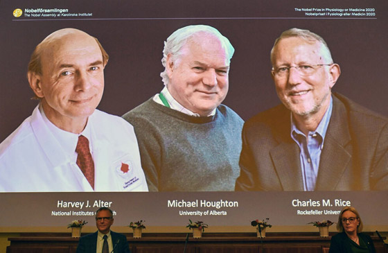 الفائزون بجائزة نوبل في الطب 2020: اكتشفوا فيروس وأنقذوا حياة الملايين صورة رقم 7