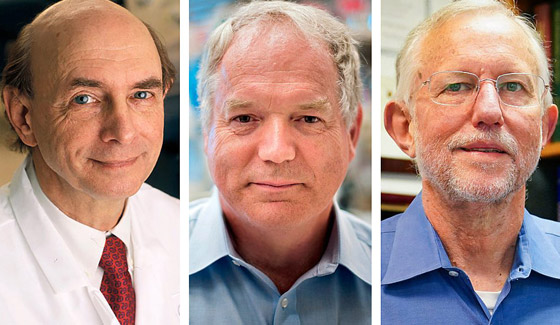 الفائزون بجائزة نوبل في الطب 2020: اكتشفوا فيروس وأنقذوا حياة الملايين صورة رقم 4