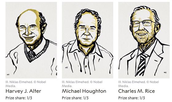 الفائزون بجائزة نوبل في الطب 2020: اكتشفوا فيروس وأنقذوا حياة الملايين صورة رقم 5