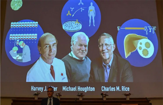 الفائزون بجائزة نوبل في الطب 2020: اكتشفوا فيروس وأنقذوا حياة الملايين صورة رقم 12