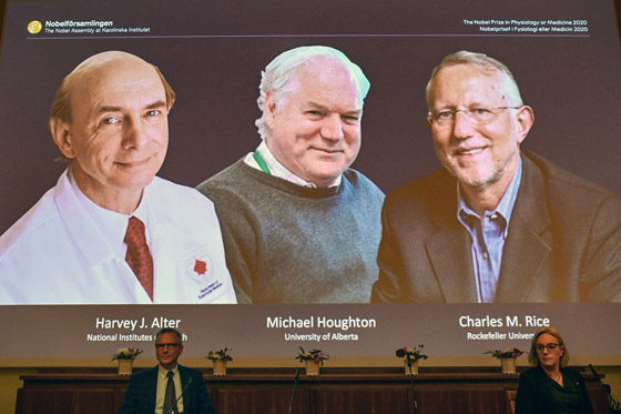 أعادوا الأمل للبشرية.. وفازوا بنوبل للطب 2020 صورة رقم 1