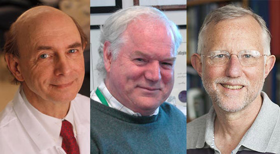 أعادوا الأمل للبشرية.. وفازوا بنوبل للطب 2020 صورة رقم 2