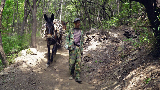 سور الصين العظيم: رحلة لجزء خطير من أشهر إبداعات البشر في بكين صورة رقم 13