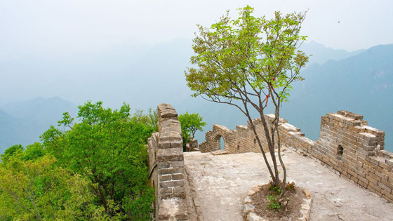 سور الصين العظيم: رحلة لجزء خطير من أشهر إبداعات البشر في بكين صورة رقم 15