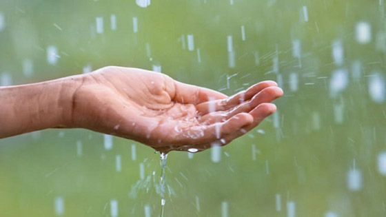 تعرفوا على أغرب الأيام العالمية حول العالم!!! صورة رقم 12