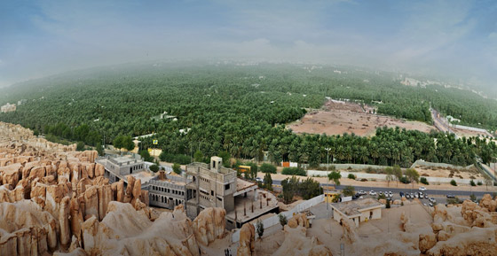 صور: موسوعة غينيس تعلن تسجيل الأحساء بالسعودية كأكبر واحة بالعالم صورة رقم 8