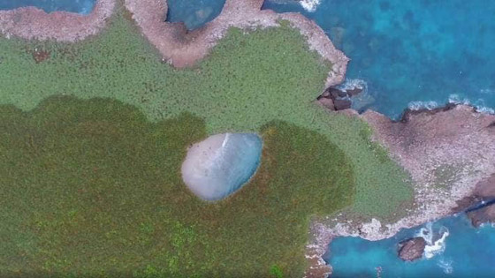 فيديو مدهش: شاطئ خفي مختبئ داخل فوهة انفجار قنبلة على جزيرة بالمكسيك صورة رقم 8