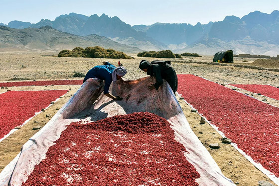 أبرز صور الأسبوع: إليكم أهم الأحداث المصورة من زوايا العالم المختلفة صورة رقم 6 أبرز صور الأسبوع: إليكم أهم الأحداث المصورة من زوايا العالم المختلفة صورة رقم 6