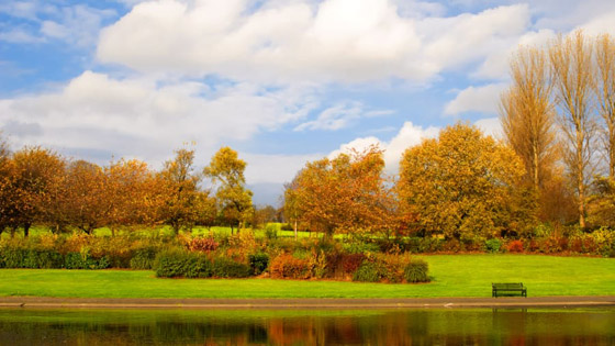 بالصور: إليكم أفضل وأروع 10 أحياء منزلية في العالم صورة رقم 3