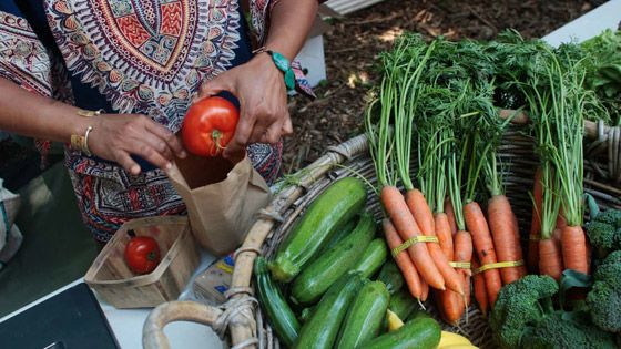 بالصور: إليكم أفضل وأروع 10 أحياء منزلية في العالم صورة رقم 7