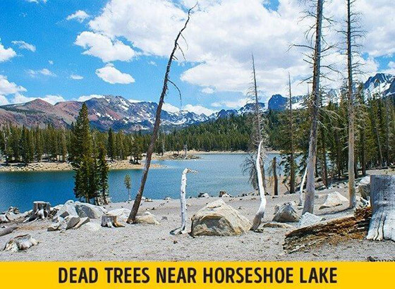 أخطر 10 بحيرات على سطح الأرض! صورة رقم 6